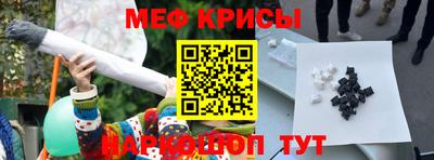 гашик Дмитров