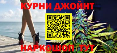 гашик Дмитров