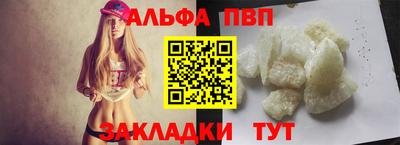 гашик Дмитров