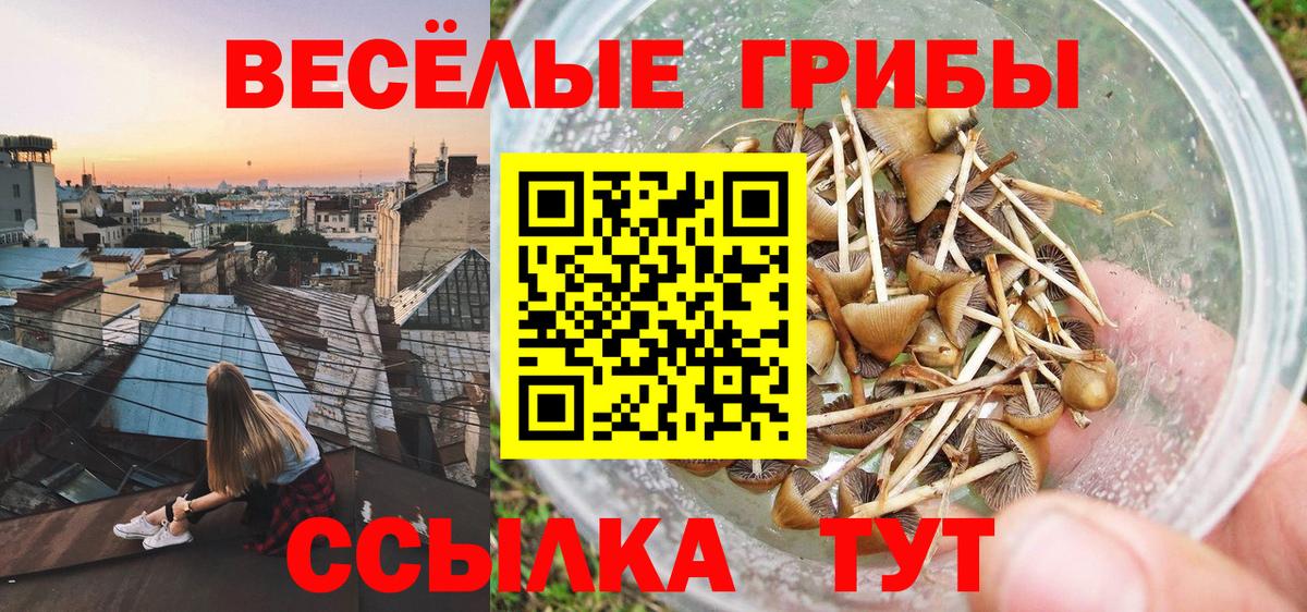 Ливны  как найти закладки  Вход с VPN  Псилоцибиновые грибы ЛСД 